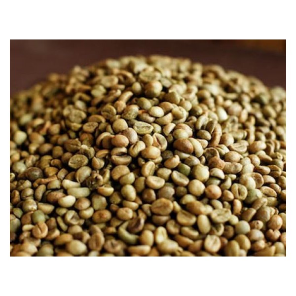 Raw Robusta coffee beans Grade 1 in 60kg Bag