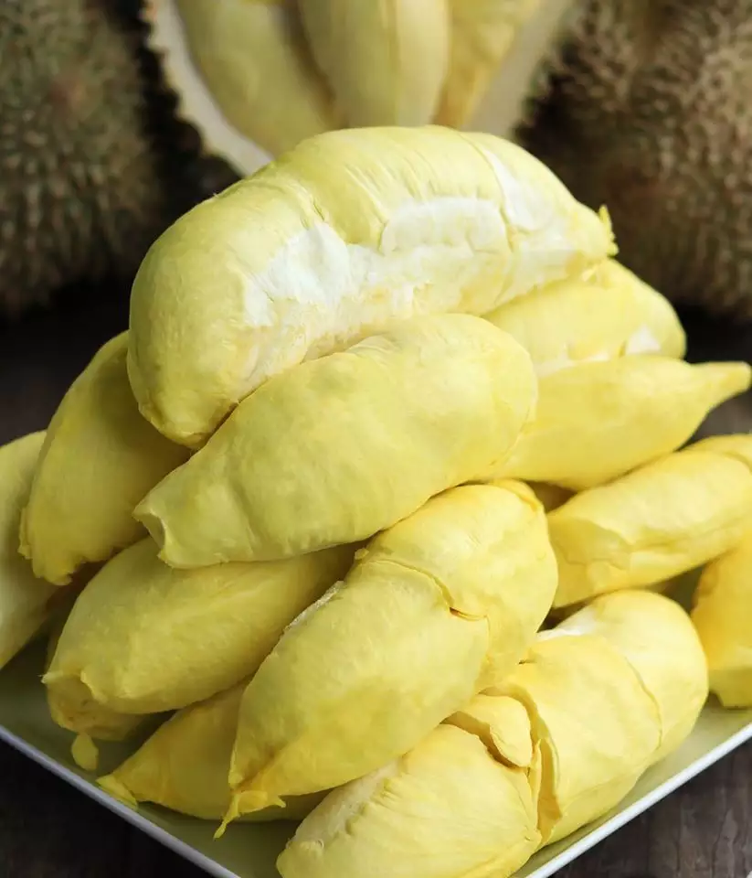 Vietnam fresh durian Musang king durian packed in carton box Sales Manager Mr.Ryan +84938244404