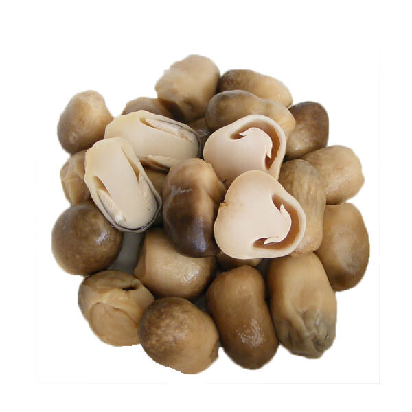 Very cheap CANNED STRAW MUSHROOM in BRINE for sale