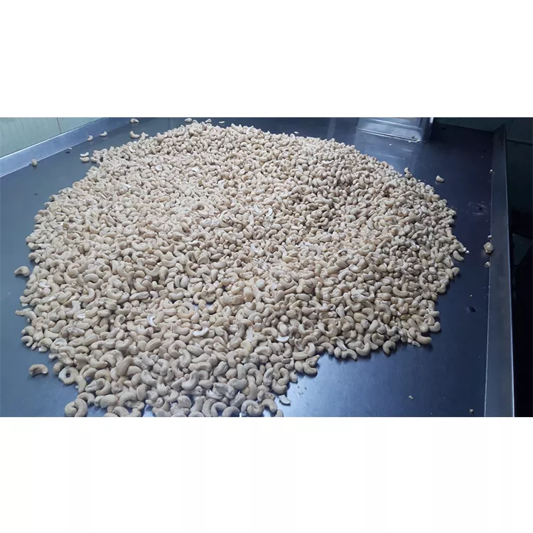 Cashew Nuts Good Price Organic Nuts Using For Food ISO HACCP Certification Packaging Carton & Vacuum Pe Asian Manufacturer