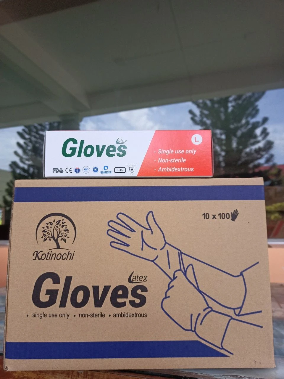 Latex gloves, medical gloves best price kotinochi brand
