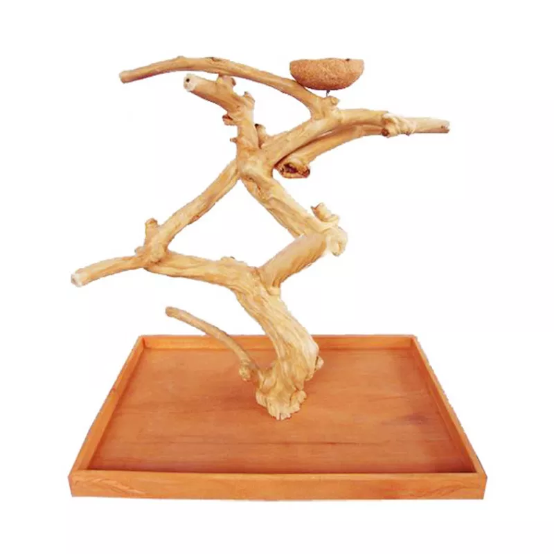 Hot selling Cheap Prices Bird Perch Made From Java Woods/ Coffee Wood