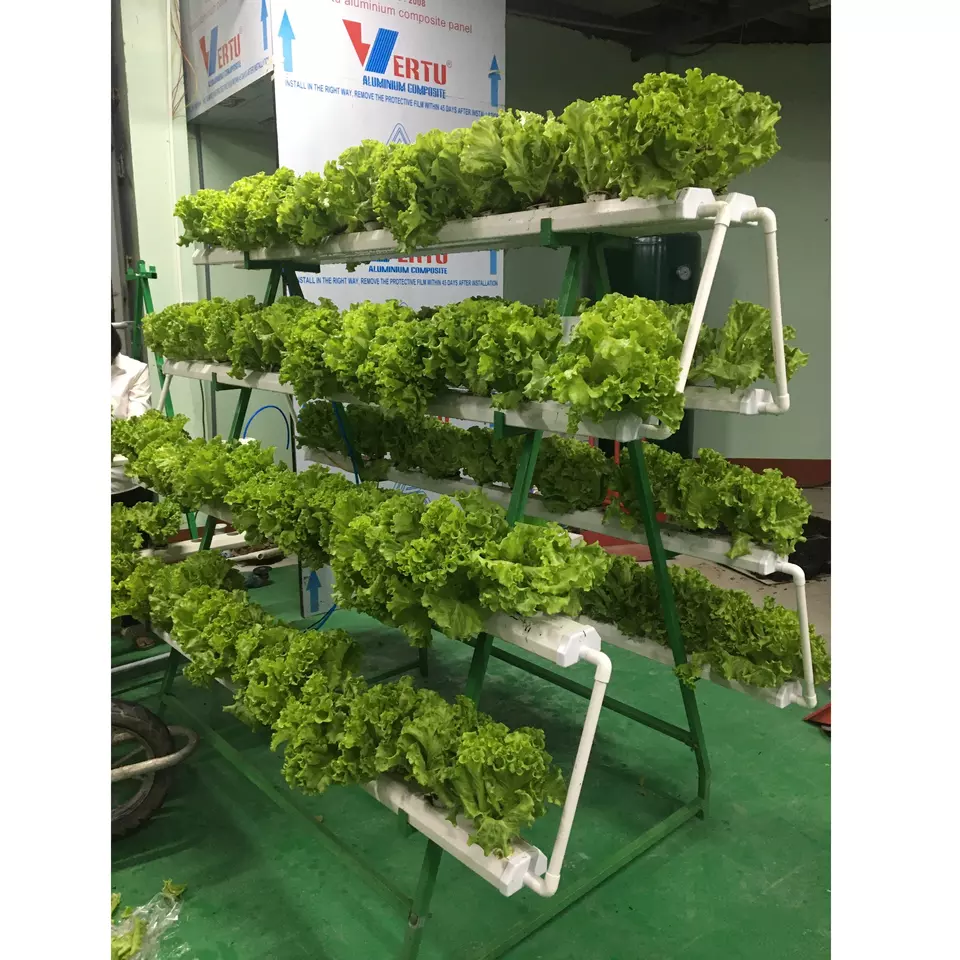 High Quality Green White 6 months Warranty Flexible Manufacturing Farms Balcony Terrace Garden A Types Vertical