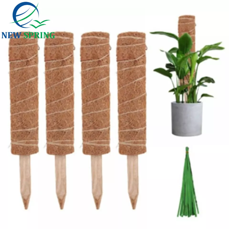 Wholesale Coir Pole Plant Support Indoor And Garden Plant Stakes Best Price For Your Plant