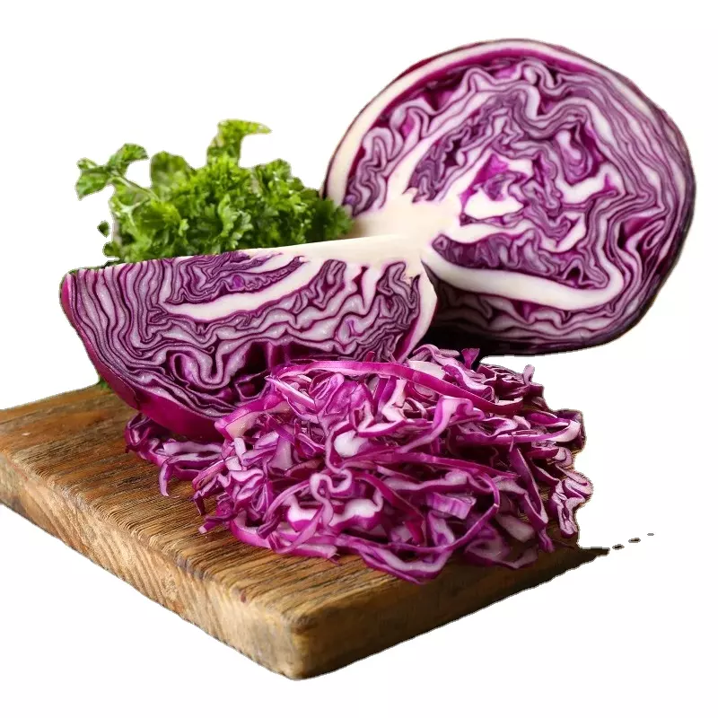 High Quality Variety Vegetables Fresh Purple Cabbage Made In Vietnam At Competitive Price