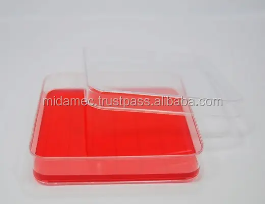 Clear Plastic 100mmx15mm Petri Dish