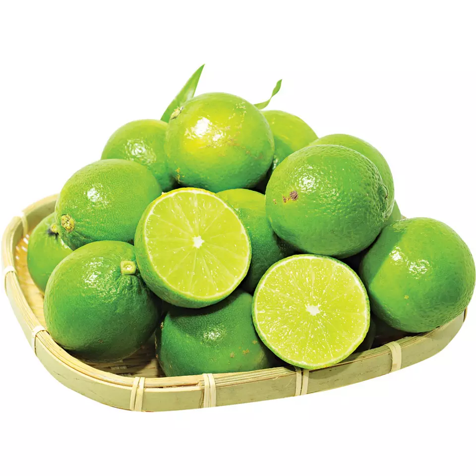 Seedless Lime from Vietnam with high quality