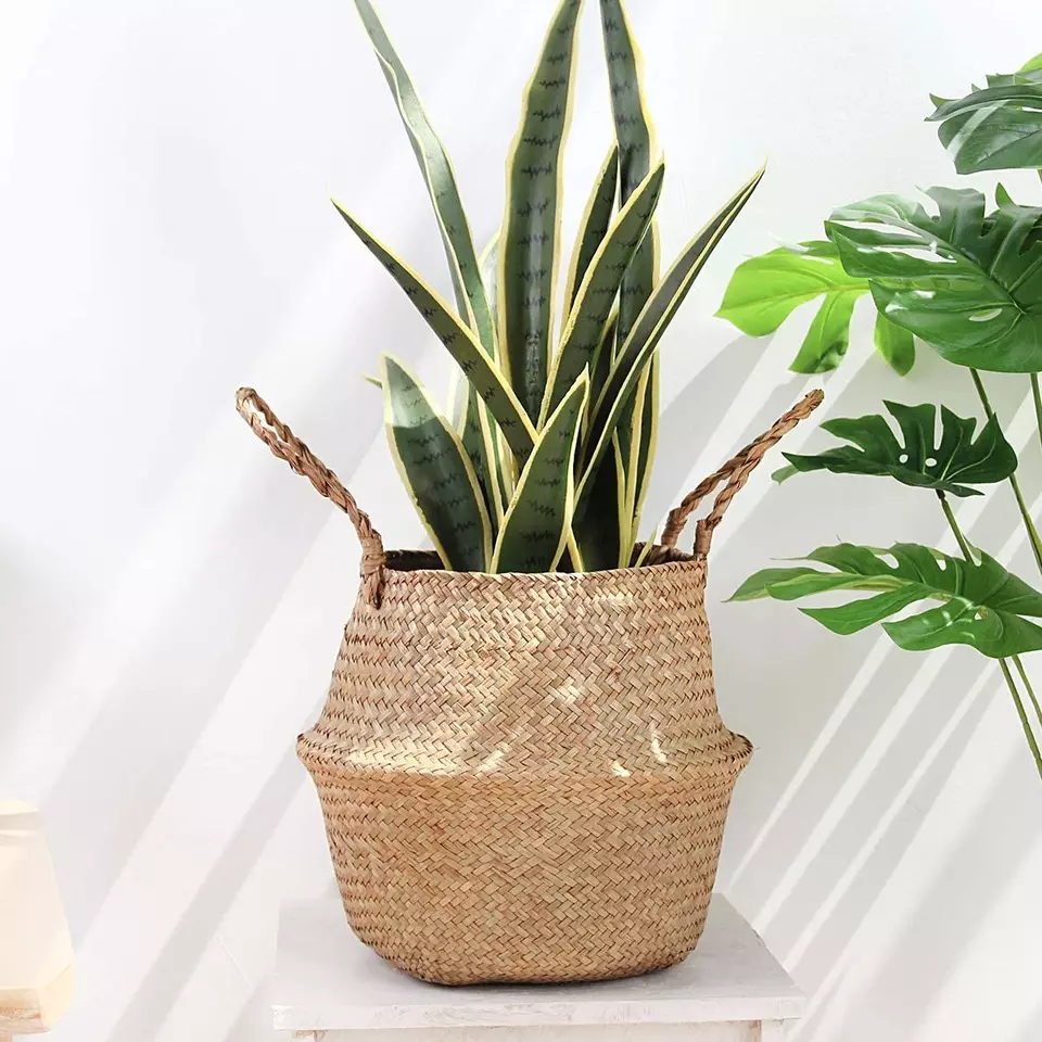 New product for New Year Seagrass Belly Basket 100% Eco-friendly Handmade Original in Vietnam