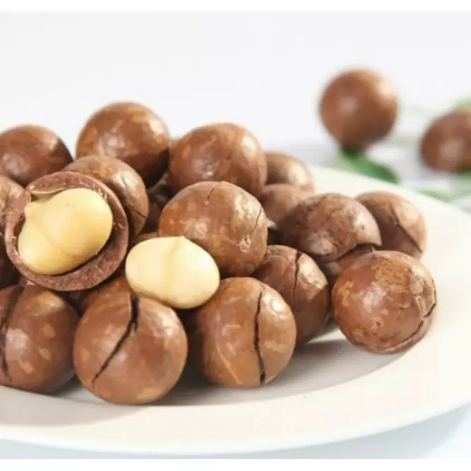 Best Selling Roasted Macadamia Nuts Style Packaging Origin Type Nut High Dried Snack , Good Quality, Healthy