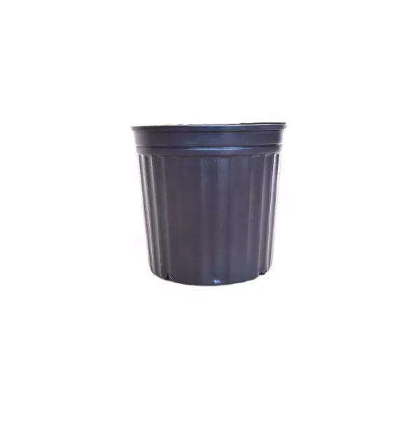 Plastic Pot 5GL Plastic Flower Pots For Plants Nursery Seedling Pots Hot Sale Garden Items