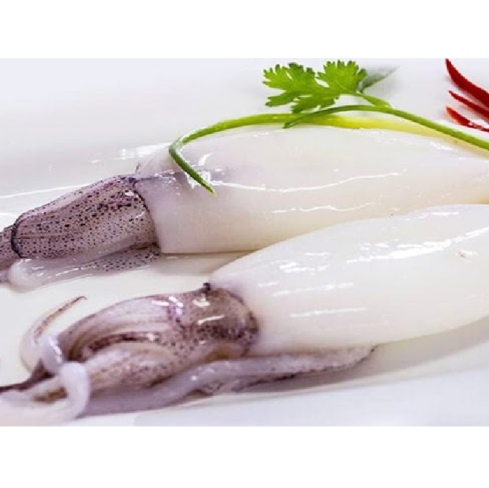 New arrival Seafood Cheap Price Wholesale Frozen Whole Round High Quality made In Vietnam 2021