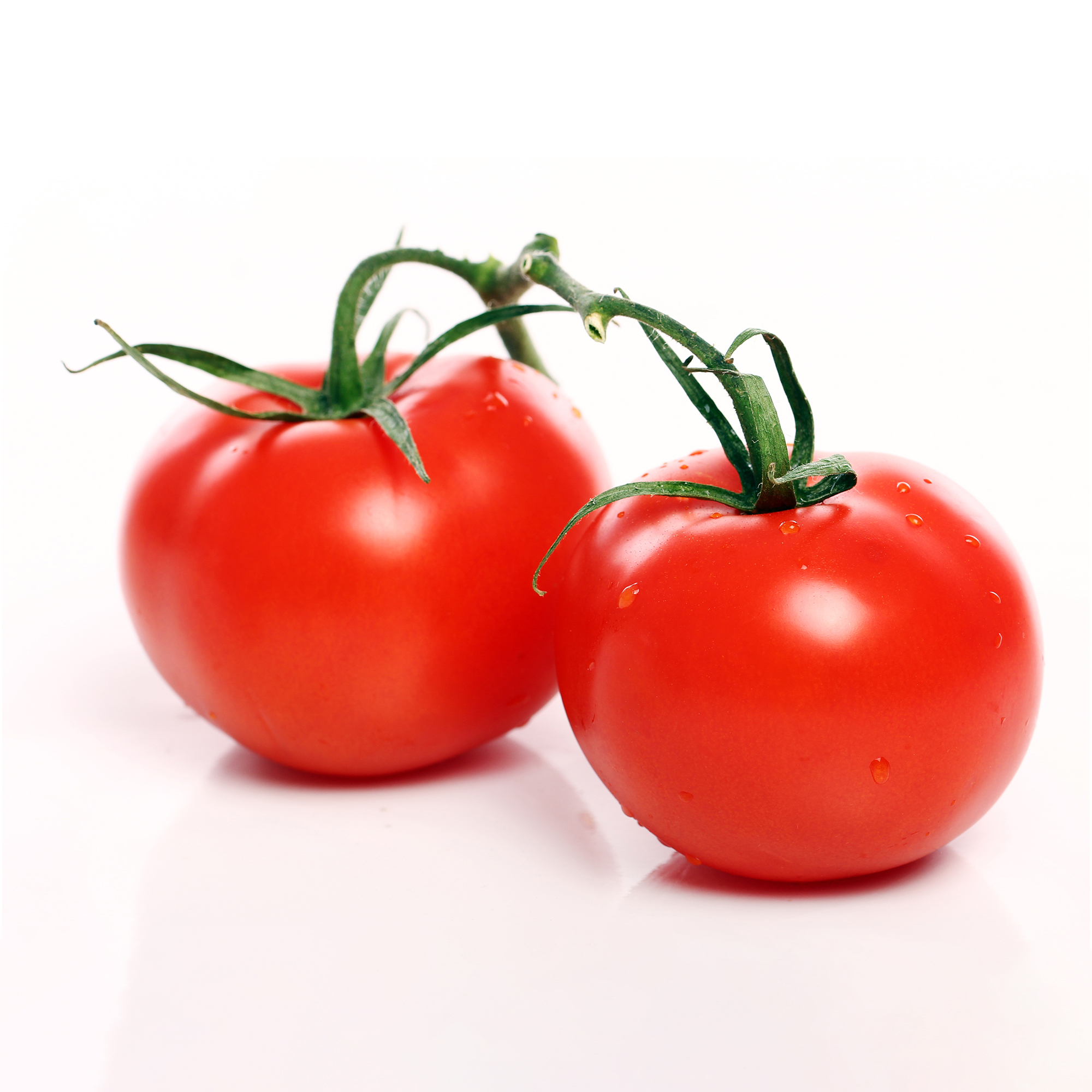 Fresh Tomato with Natural red Best quality for wholesale Quick response and cheap price