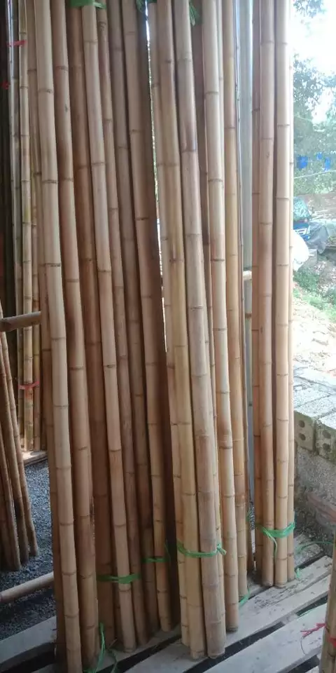 Bamboo Raw Materials In Vietnam / Bamboo Pole/ Bamboo Stick
