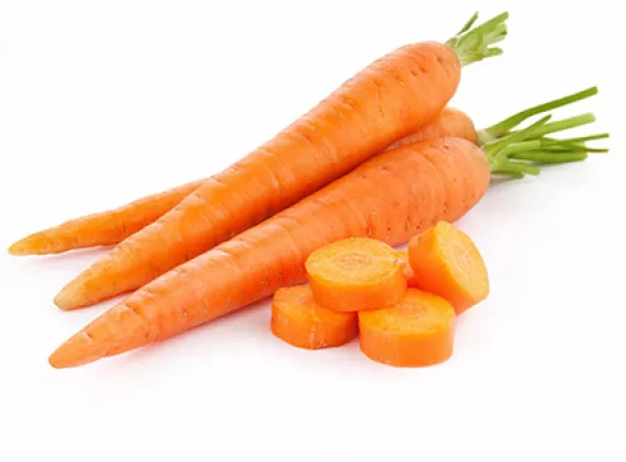 Wholesale Fresh Carrot With High Quality At Low Price In The Market Origin From Vietnam