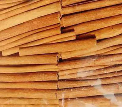 Vietnam Fingger, Cigarette Cassia Cinnamon - Good Quality, Manufacturing Price (Whatsapp: +84 79316699)