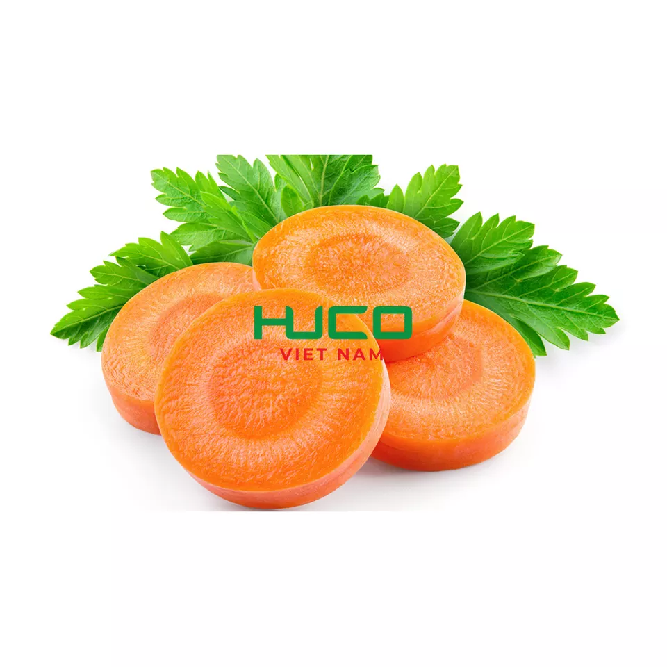 Selected quality fresh carrot 100-250 gram Vietnam factory export