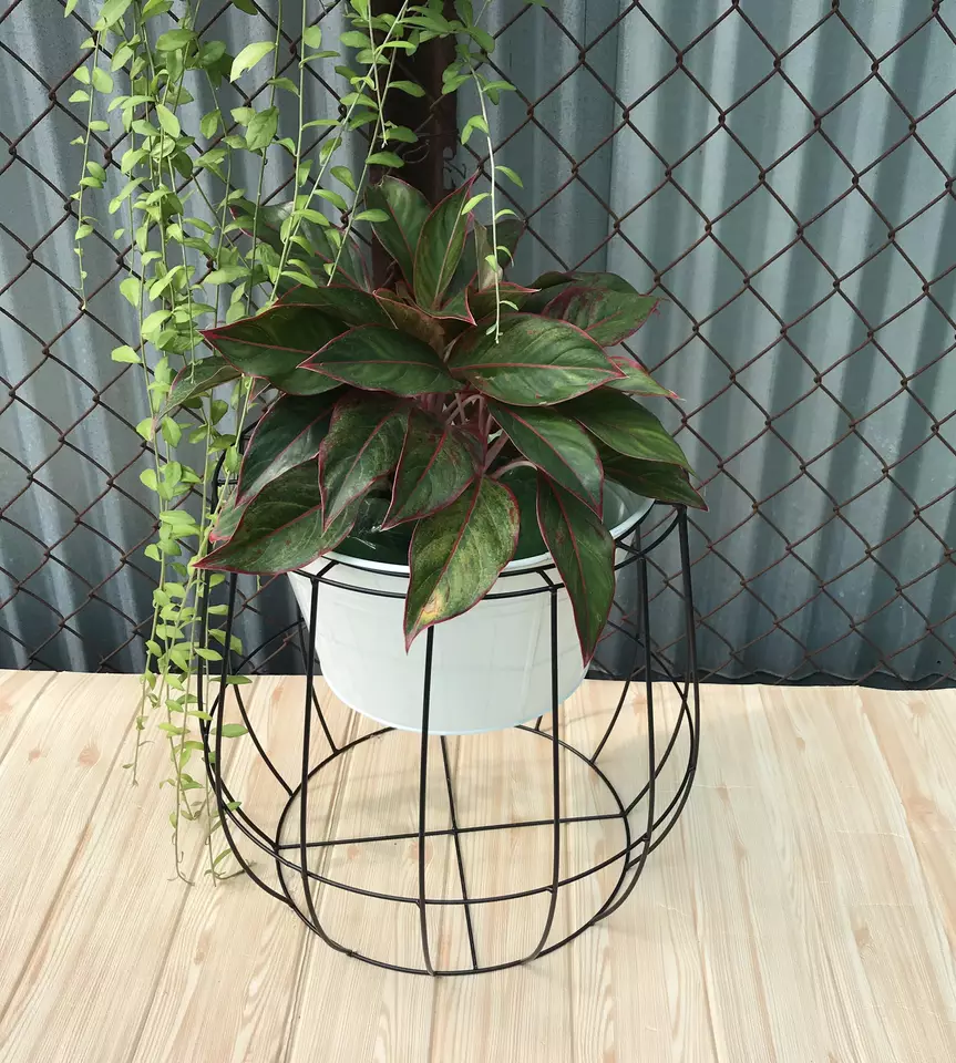 Galvanized planter pot with stand and frame, set of 2, powder coating color.