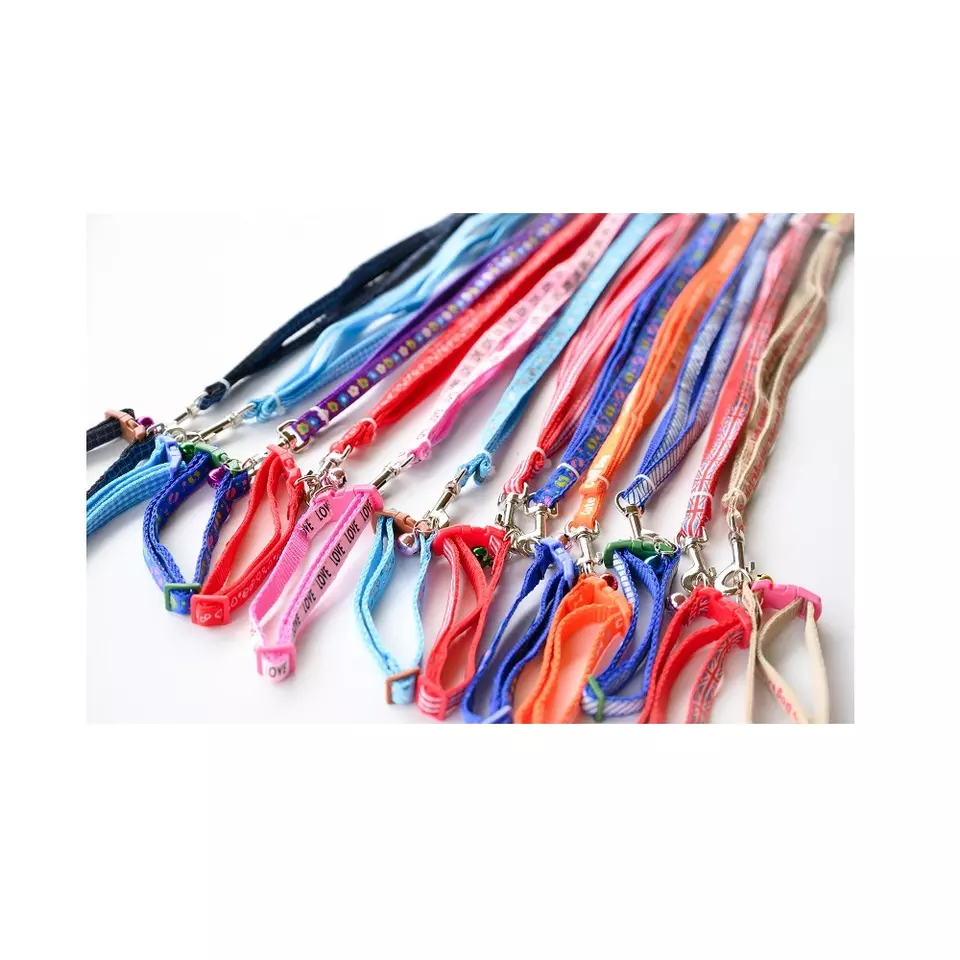 Mr.Dog Durable price competitive color package support wholesale pet product Dog Leashes Collar 1cm from Vietnam