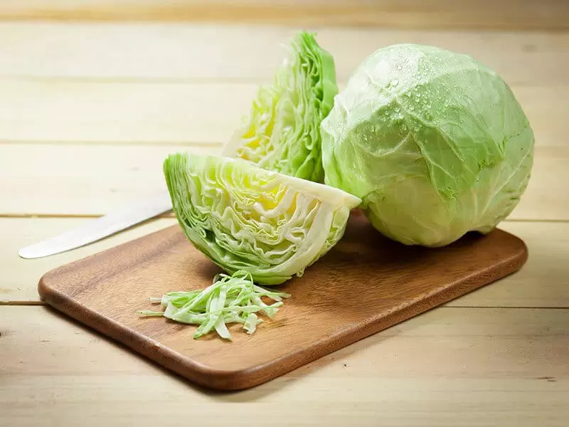 Competitive Price High Quality Variety Vegetables Fresh White Cabbage Made In Vietnam