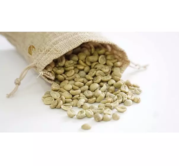 Robusta S18 - Wet Polished Green Coffee Bean Premium Quality Classic From Vietnam Cheap Price Low MOQ Customize
