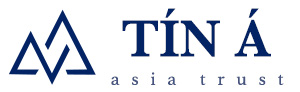 Tin A Trading & Consulting Limited Company