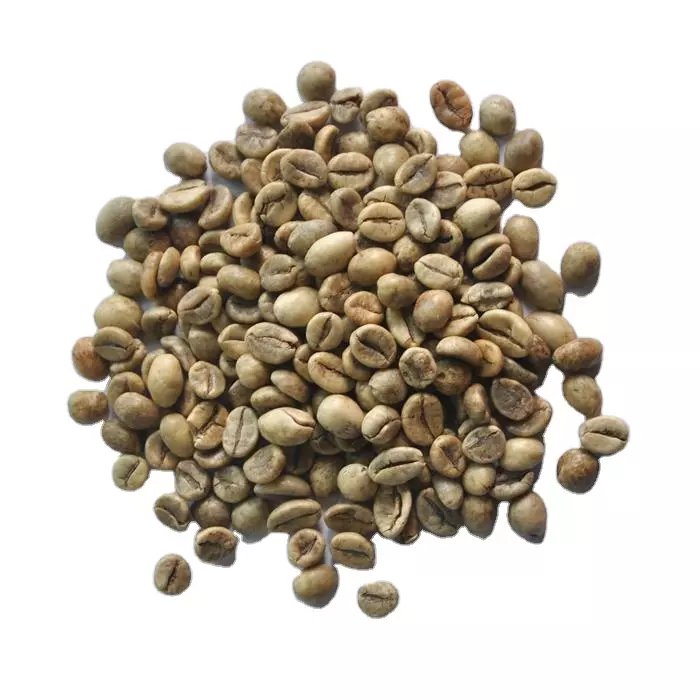 Robusta S16 - Wet Polished Hot Selling Top Grade Quality Best Quality Coffee Bean 100% Low MOQ Good Price For Export