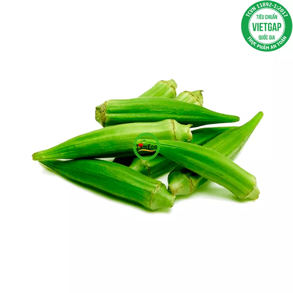 High Organic And Best Vegetable Product Vietnam All Season TamEco Viet Gap certification Green Color Okra
