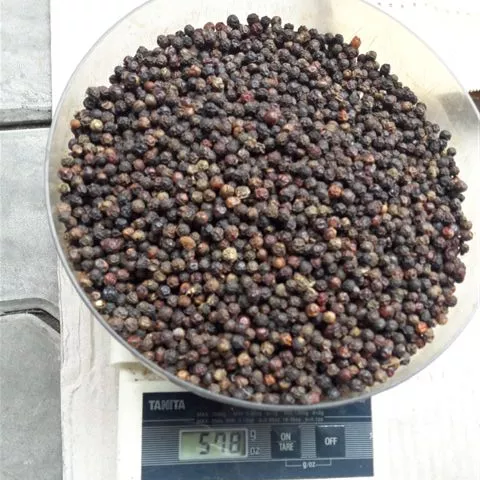 Vietnam Black pepper 5MM grade available for export