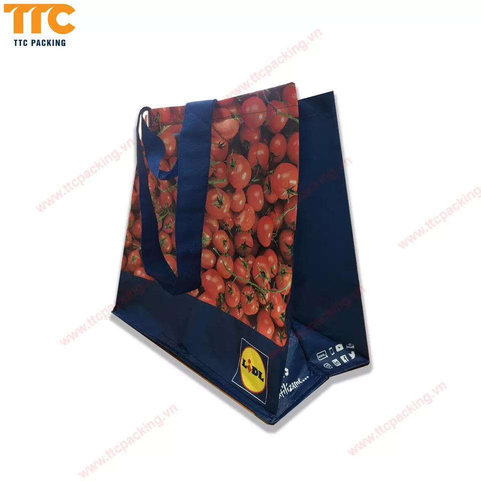 Vietnam Recycle Shopping PP Woven Bag with Design Customized