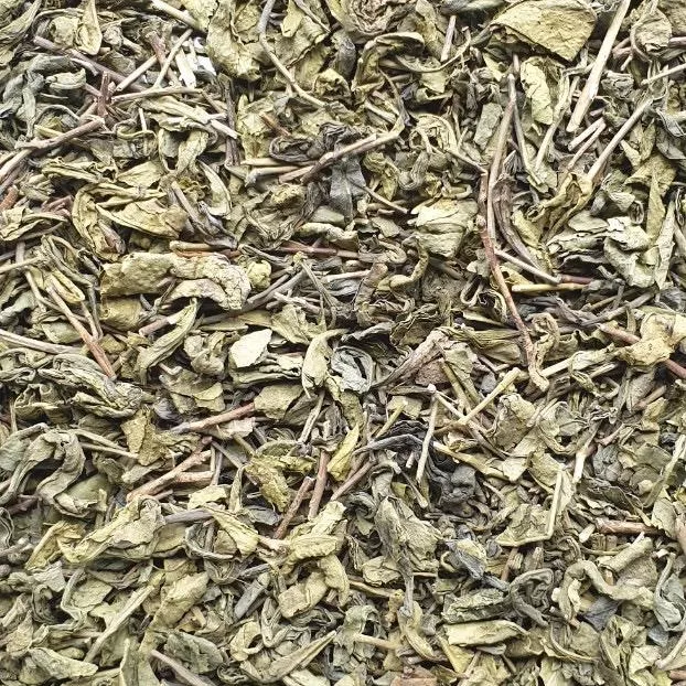 Wholesale Green tea Healthy OPA 100% Natural From Vietnam