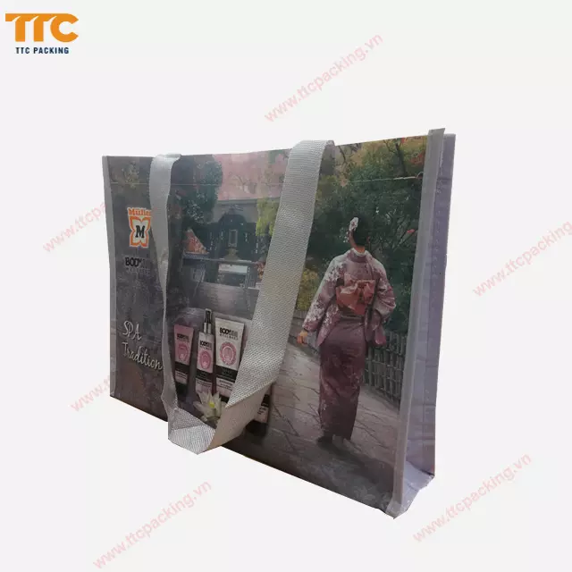 Vietnam OEM Recycled Eco Friendly PP Woven laminated shopping grocery Bag