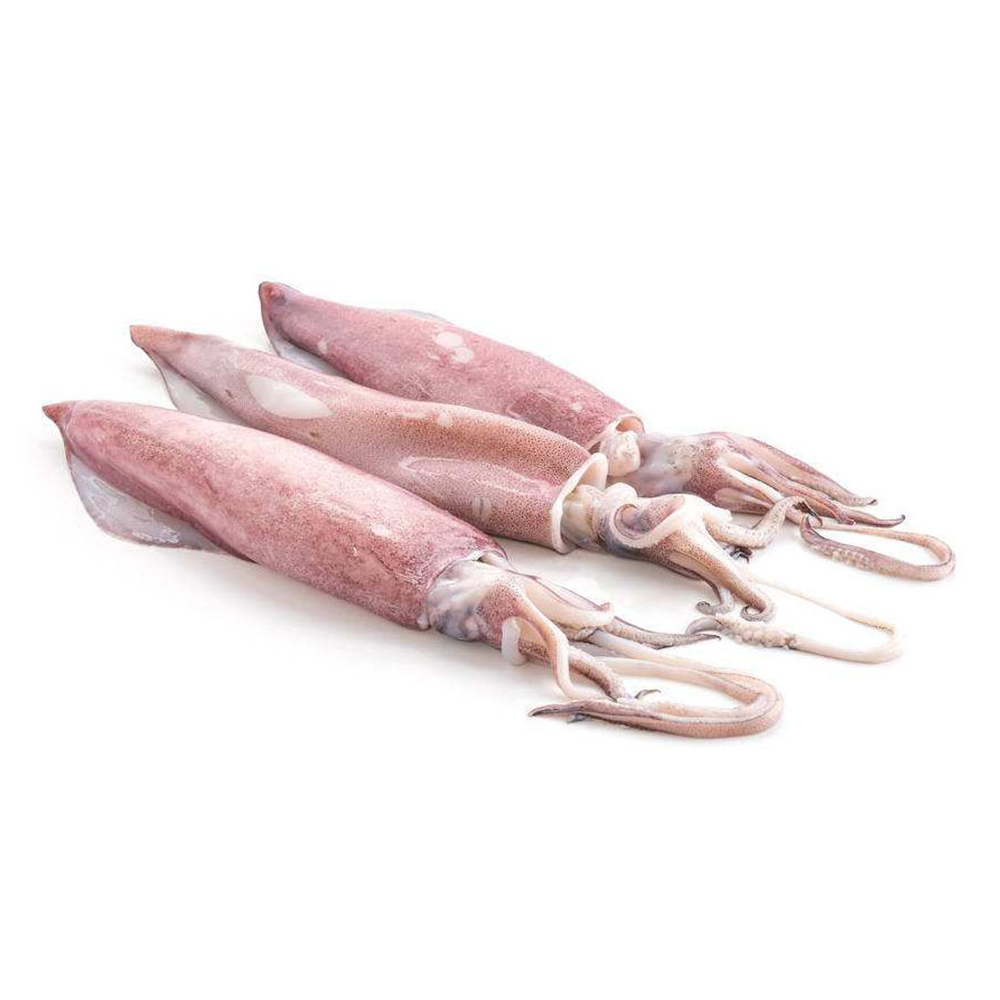 Wholesale High Quality Frozen Squid Fresh Frozen Seafood 4A From Vietnam Ready To Ship Best Price 2022