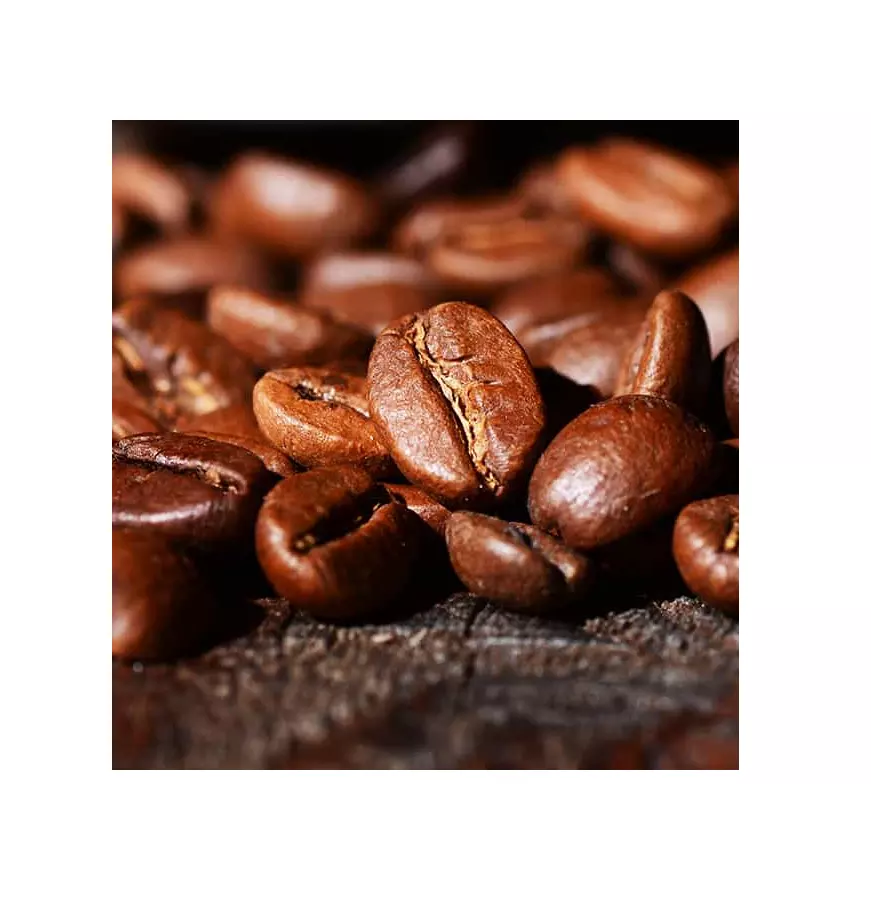 Best Price Coffee Beans Arabica Raw Coffee Beans Directly from Vietnam Specialty The Farm High Standard