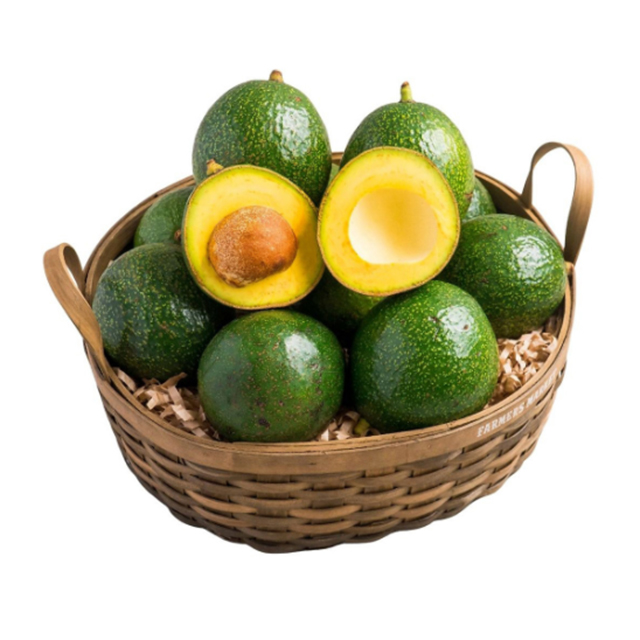 High Tropical Fruit New 2022 Booth Avocado Made In Vietnam For Export With The Best Price Standard
