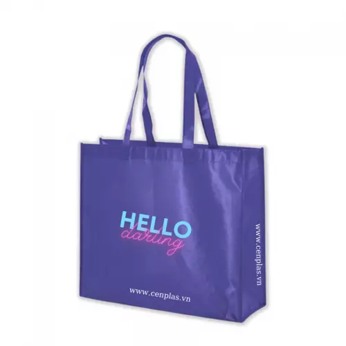 Vietnam Silk Screen 35cm x 35cm x 10cm Size Heat press Recyclable Feature Lamination non woven bag In Box bag Packaging