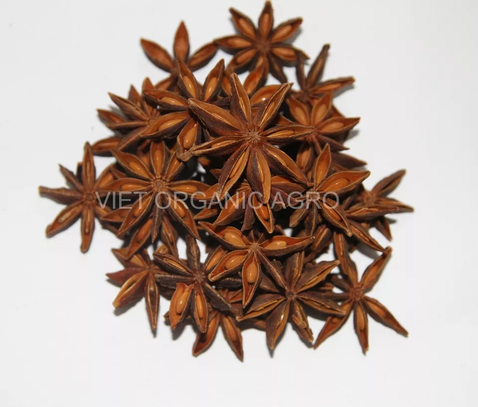 Best Quality Dried Star Anise - Certified 100% Organic - Spices & Herbs Products Superior Quality Star Anise
