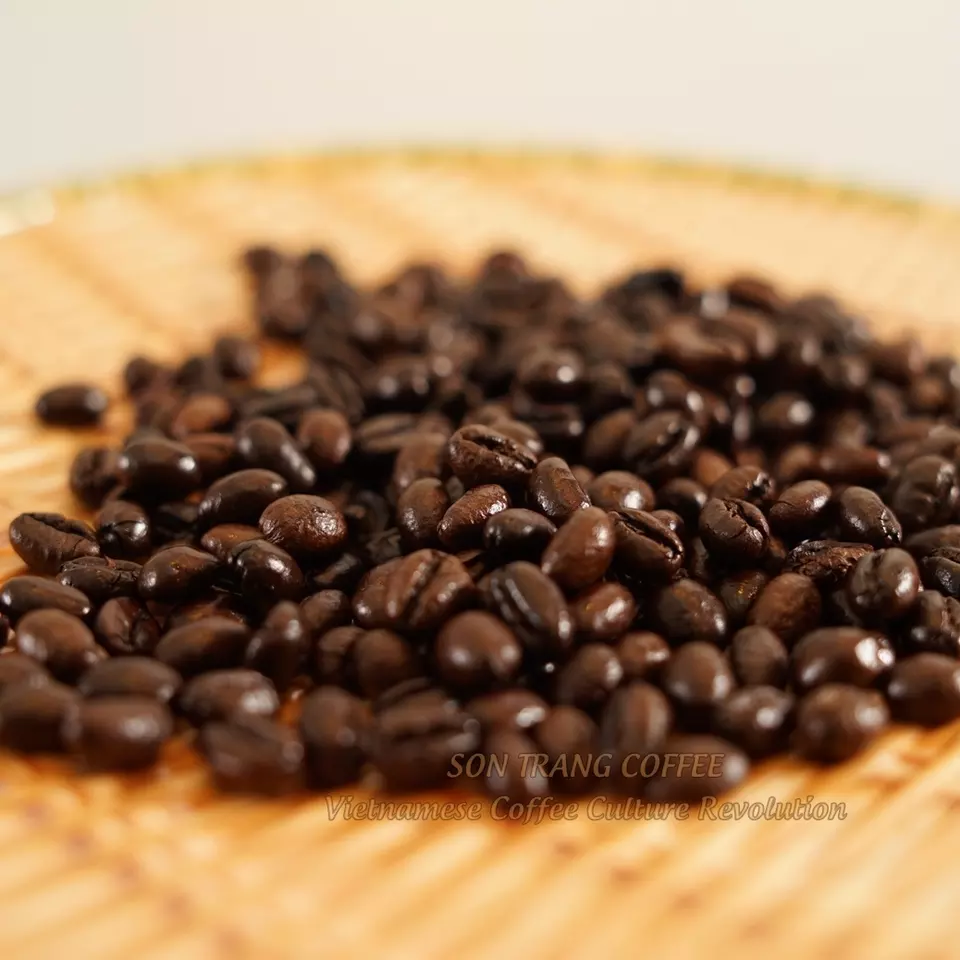 Top selling High quality Good price Saturn Viet nam coffee roast blended Culi(70%)Arabica(30%) coffee beans process honey