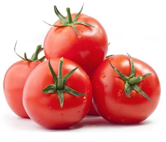 Wholesale Fresh Tomato Best Price In VIetnam