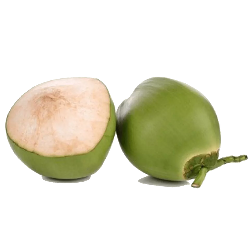 Green Siamese Coconut Fresh Organic Premium Top Quality Sweet Custom Packaging Thien Phuc Company Best Brand Hot Sell