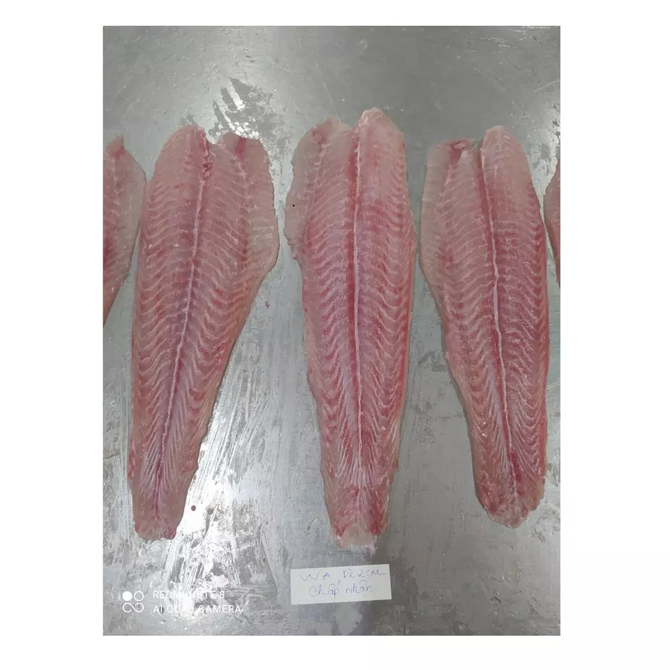 Whole Sales Frozen Pangasius/ Basa fish Semi- Trimmed NONTREATMENT Fillet From VietNam