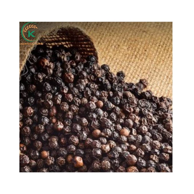 Natural Black Pepper 550GL Vietnam For Wholesale