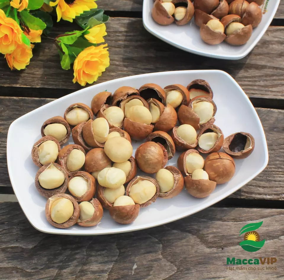 Medium Size Natural Roasted Macadamia Nuts Style Packaging Origin Good Quality Nut High Dried Snack , Healthy Vietnam