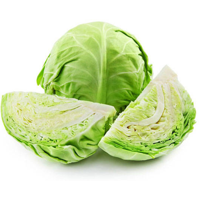 Best Price with High Quality Fresh Cabbage from VietNam