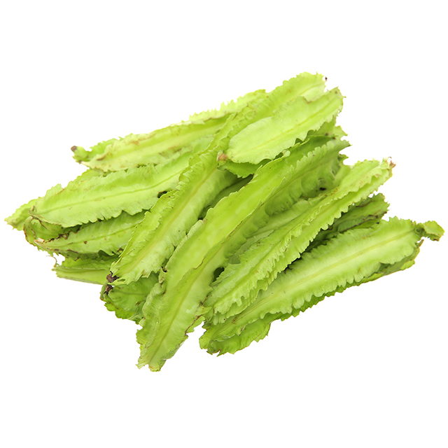 Special Fresh Winged Bean with Export quality Good price and Fast delivery from Vietnam