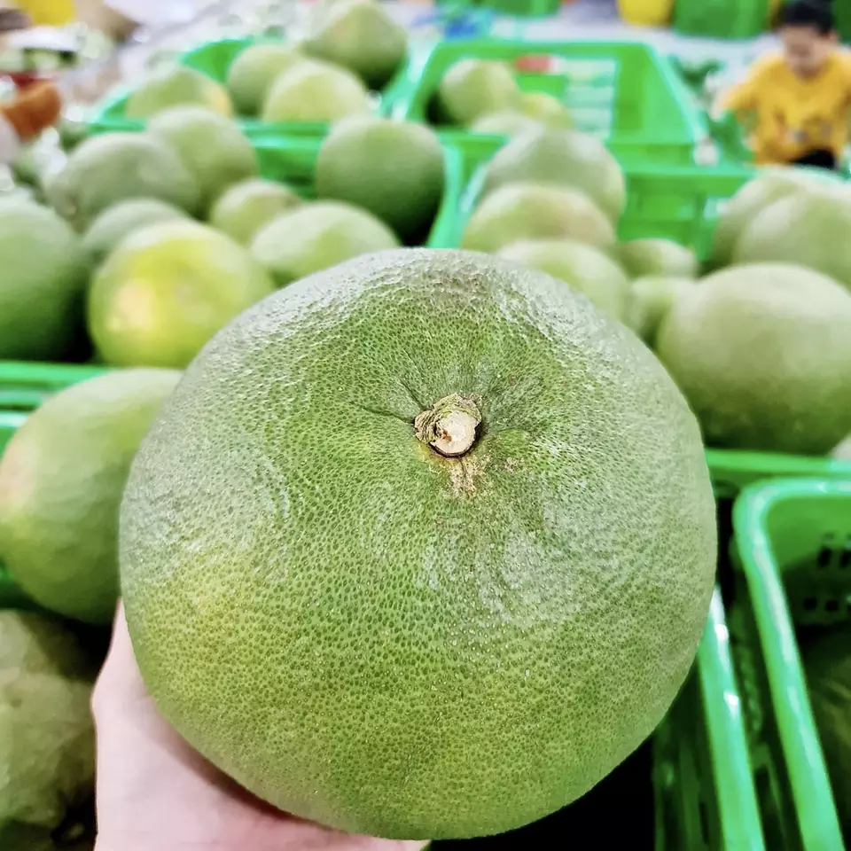 Wholesale High Quality New Harvest Global Gap Fresh Green Skin POMELO grapefruit citrus fruits from Viet Nam
