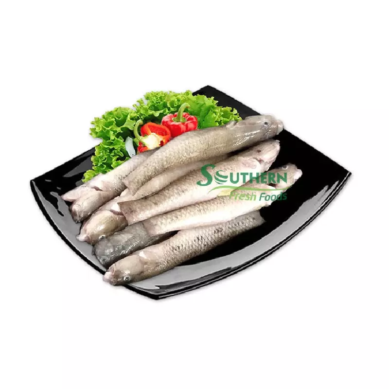 Ingredient river style type IQF process price acceptable other fish Frozen Sand Goby Headless Wild Caught SFF from Vietnam
