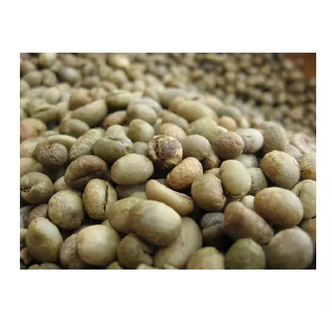 Robusta Culi - Clean Green Coffee Bean With Wholesale Manufacturer Arabica Robusta Cheap Price Low MOQ Hot Selling Brand