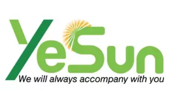 Yesun Viet Nam Company Limited