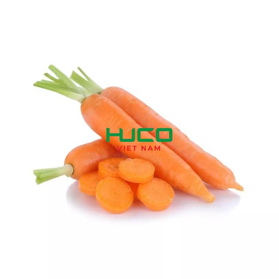 Best Price Fresh Vegetables Carrots For Export From Vietnam