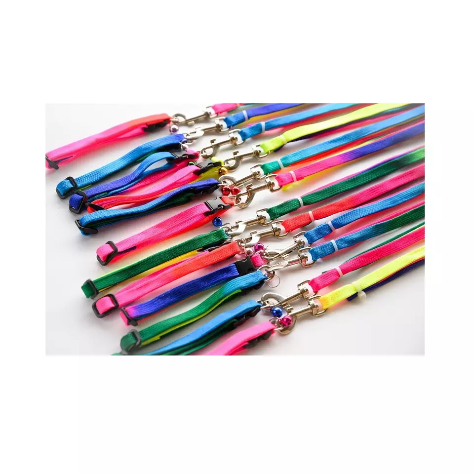 Rainbow Color 1cm Mr.Dog Origin supplier package small type animal other pet products Dog Leashes Collar from Vietnam